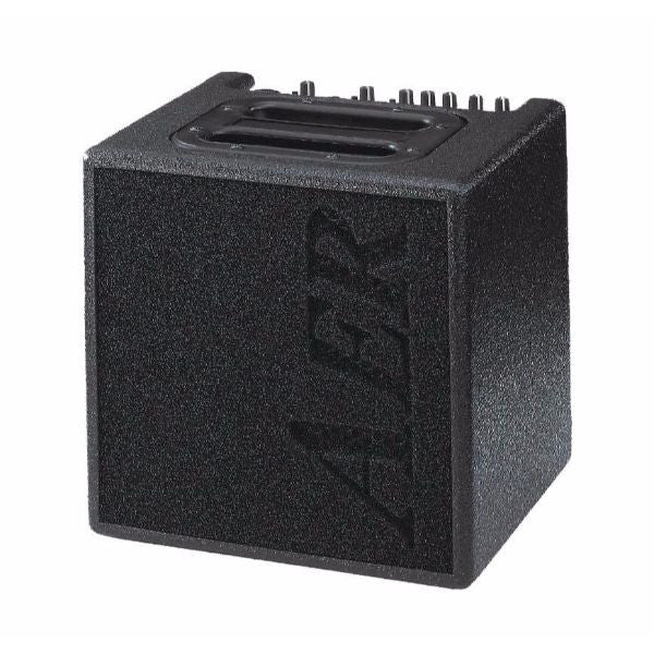 AER Alpha 40-watt Combo Acoustic Guitar Amplifier