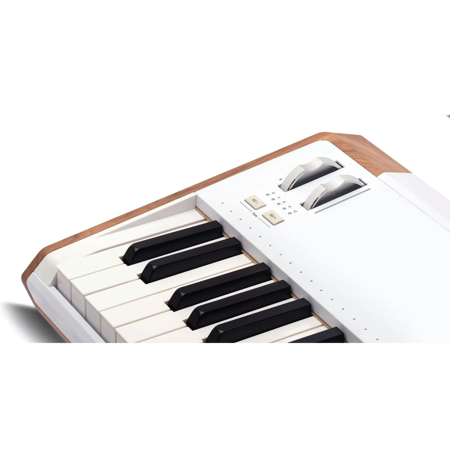 Arturia AstroLab 61-Key Avant-Garde Stage Keyboard Synthesizer, plus receive V Collection X absolutely free - Image 4