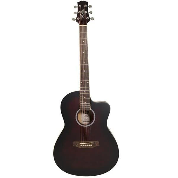 Ashton D10C 39-inch Cutaway Acoustic Guitar with Gigbag, Picks, Strap, Cloth & Ebook - Image 10