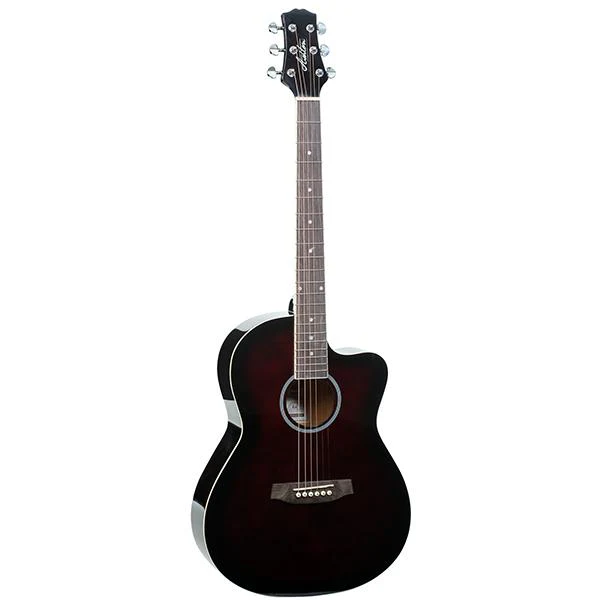 Ashton D10C 39-inch Cutaway Acoustic Guitar with Gigbag, Picks, Strap, Cloth & Ebook - Image 12