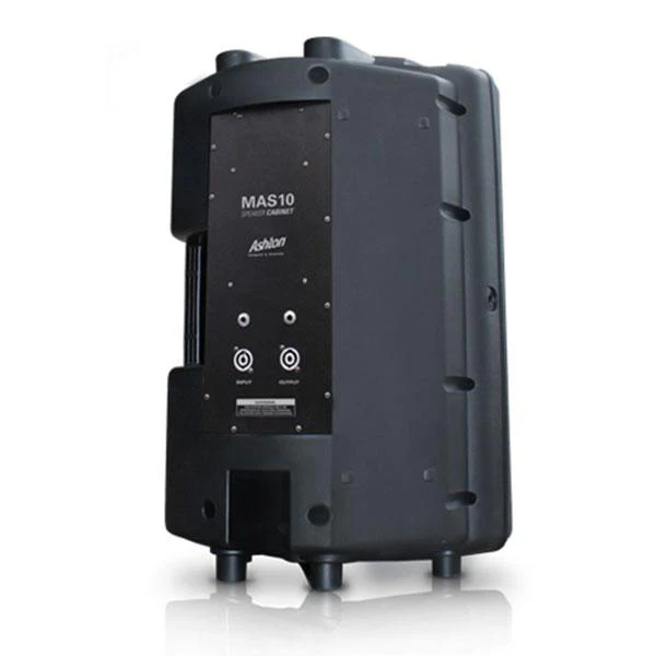 Ashton MAS10 10inch 200W Passive PA Speaker - Image 2