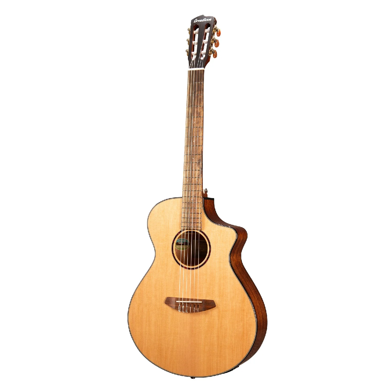 Breedlove DSCN01CERCAM 2 Discovery S Concert Nylon CE Electro Acoustic Guitar - Image 2