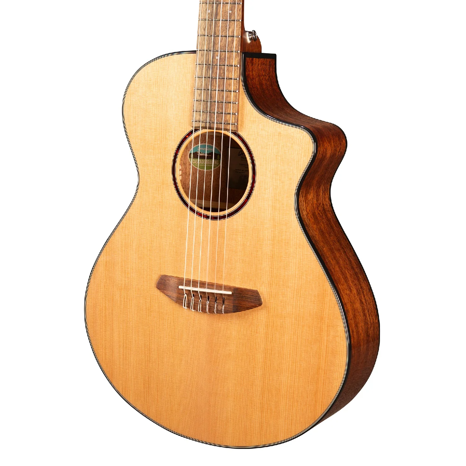 Breedlove DSCN01CERCAM 2 Discovery S Concert Nylon CE Electro Acoustic Guitar - Image 4