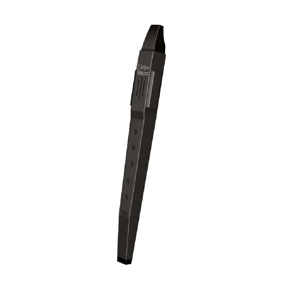 Carry-On Digital Wind Instrument - Image 3