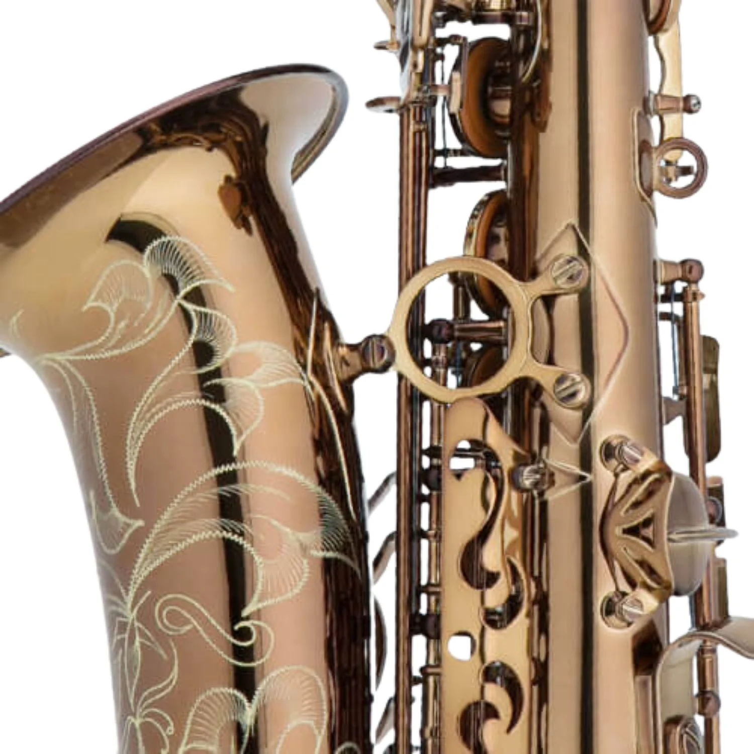 Chateau Chambord Series CAS-50 Alto Saxophone - Cognac - Image 4