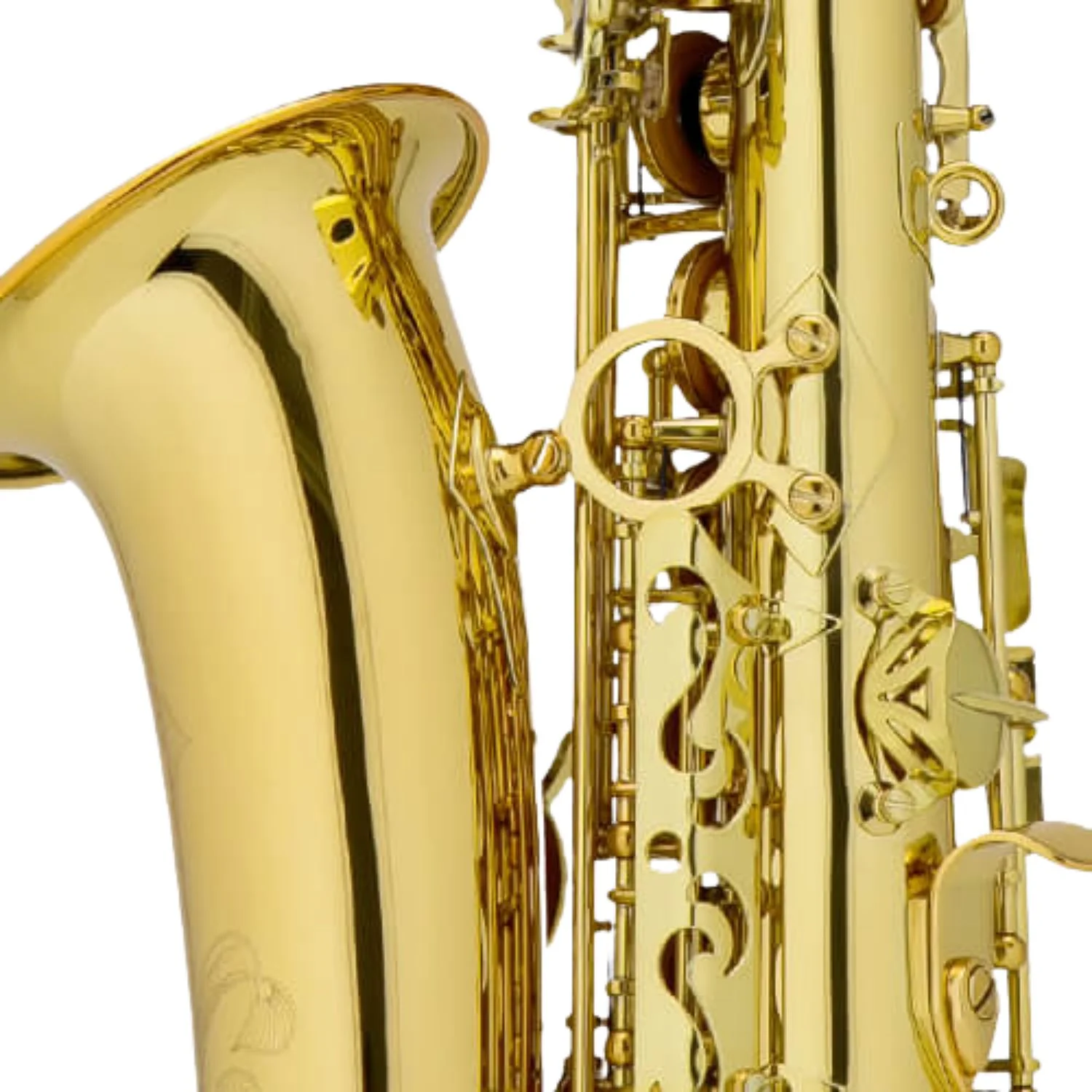 Chateau Valencay Series CAS-22 Alto Saxophone - Image 3