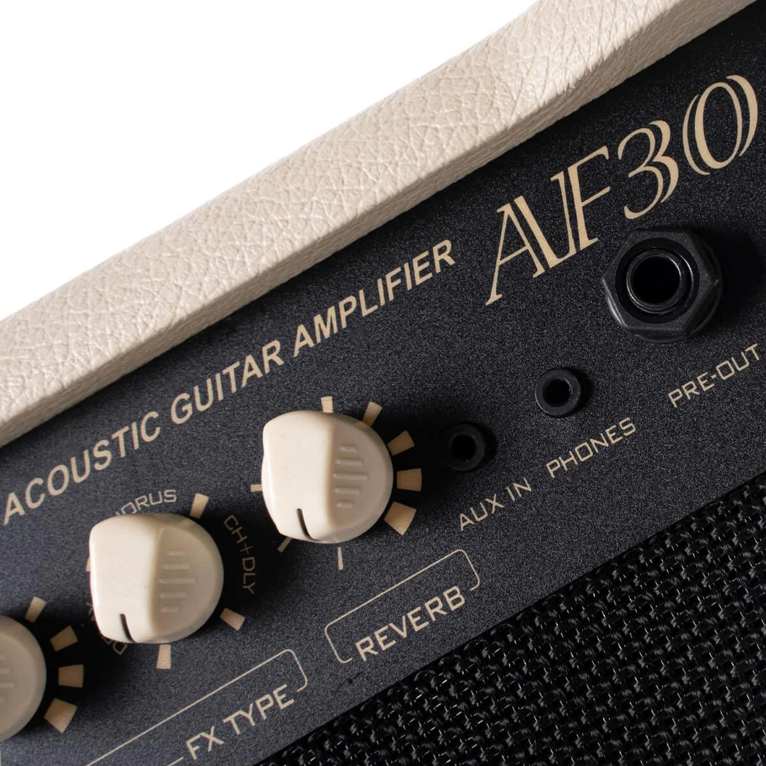 Cort AF-30 Acoustic Guitar Amplifier - Image 4
