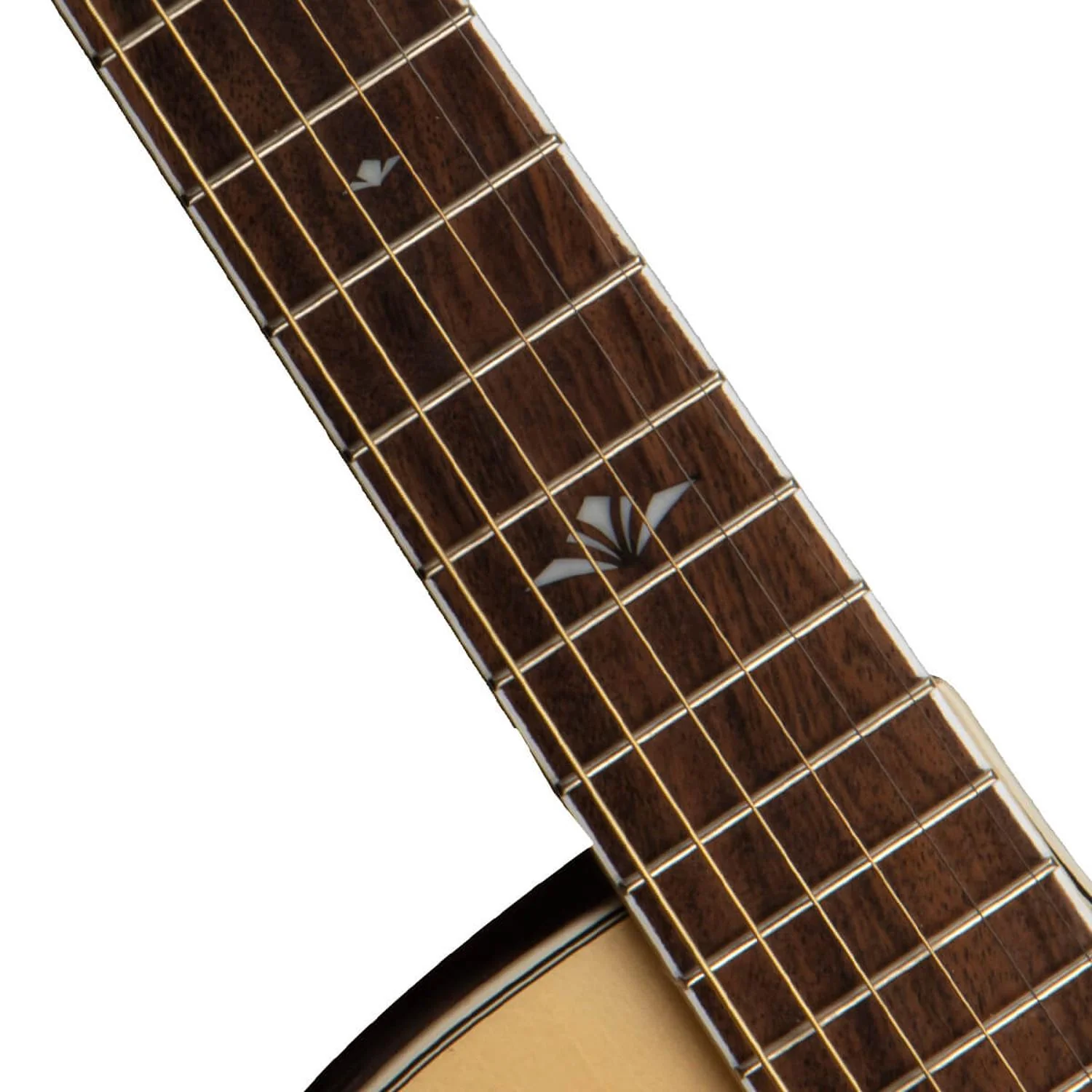 Cort GA-FF Electro Acoustic Guitar - Image 7