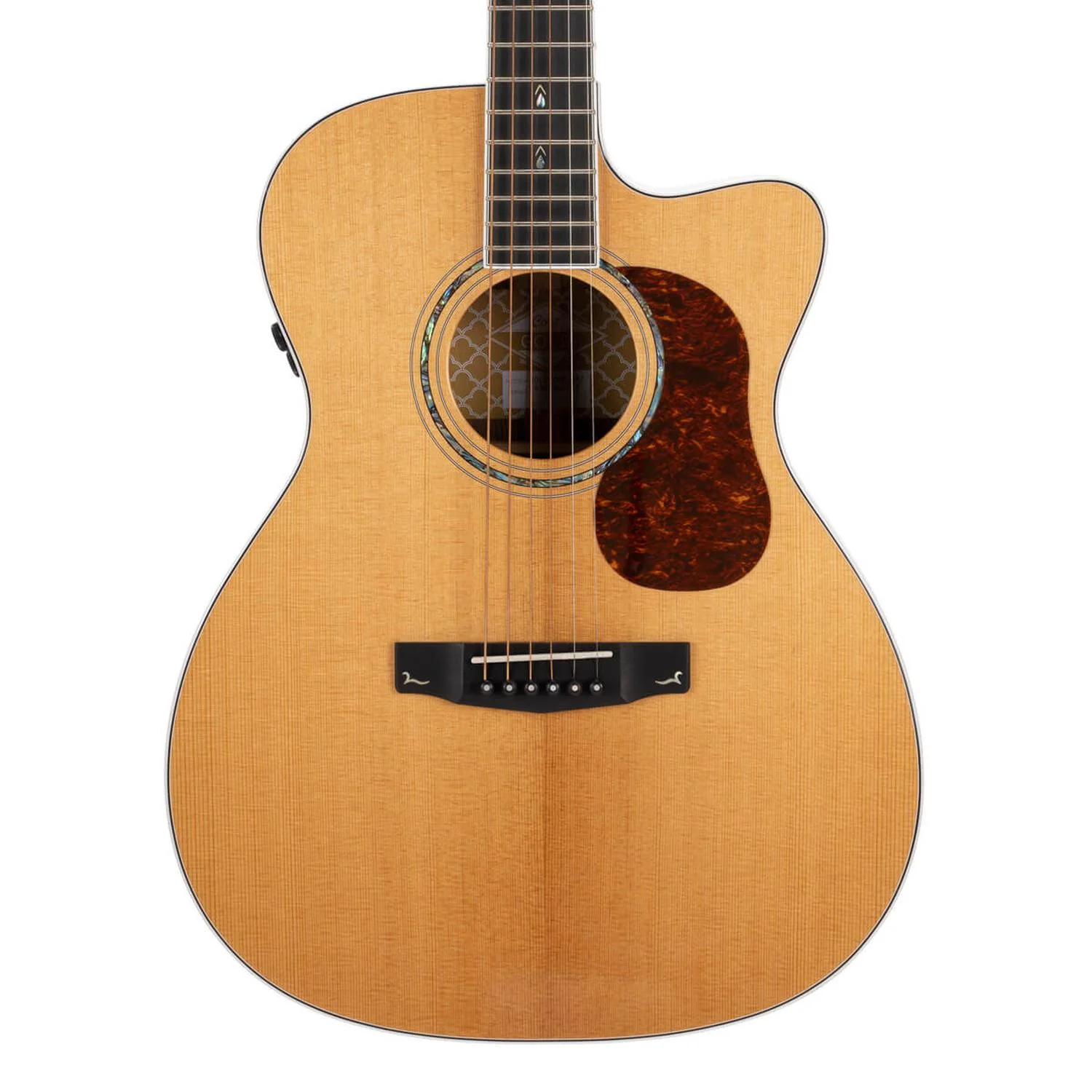 Cort Gold Series Gold OC8 Electro Acoustic Guitar With Case - Image 2