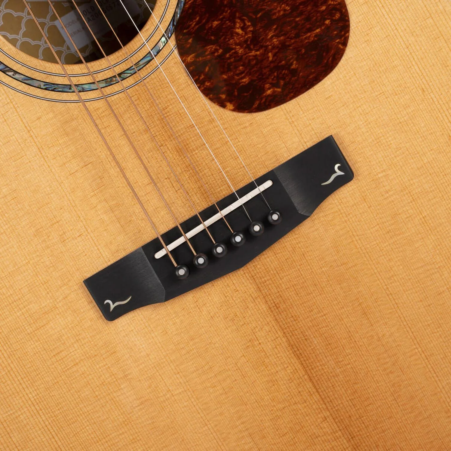 Cort Gold Series Gold OC8 Electro Acoustic Guitar With Case - Image 3