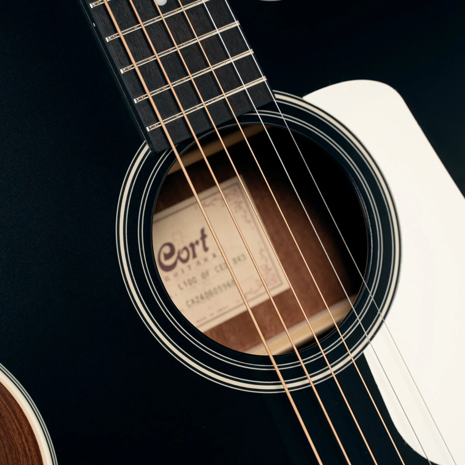 Cort L100OCF-CED 6 String Semi Electro Acoustic Guitar - Image 4