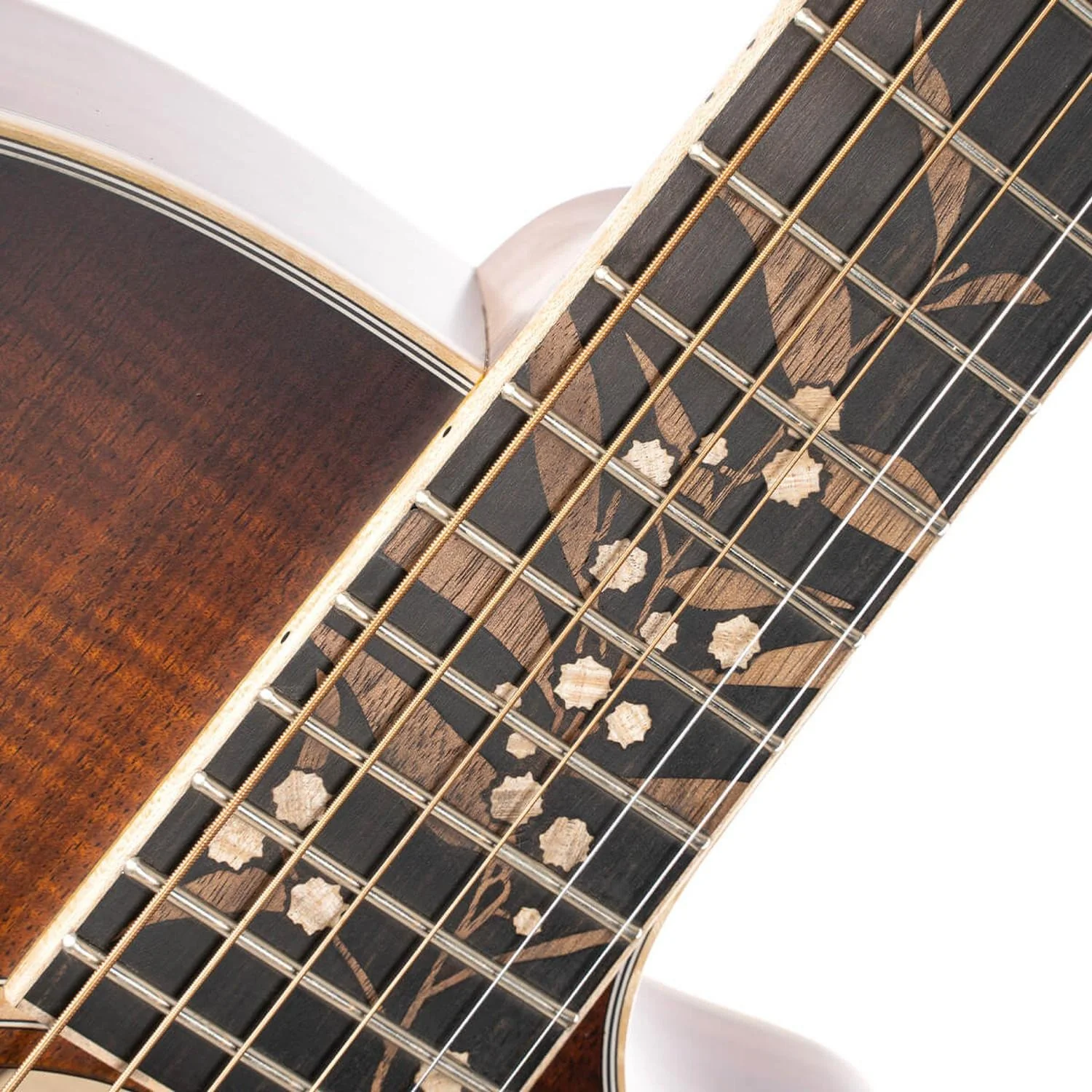 Cort The Black Tree Limited Edition Electro Acoustic Guitar - Image 5