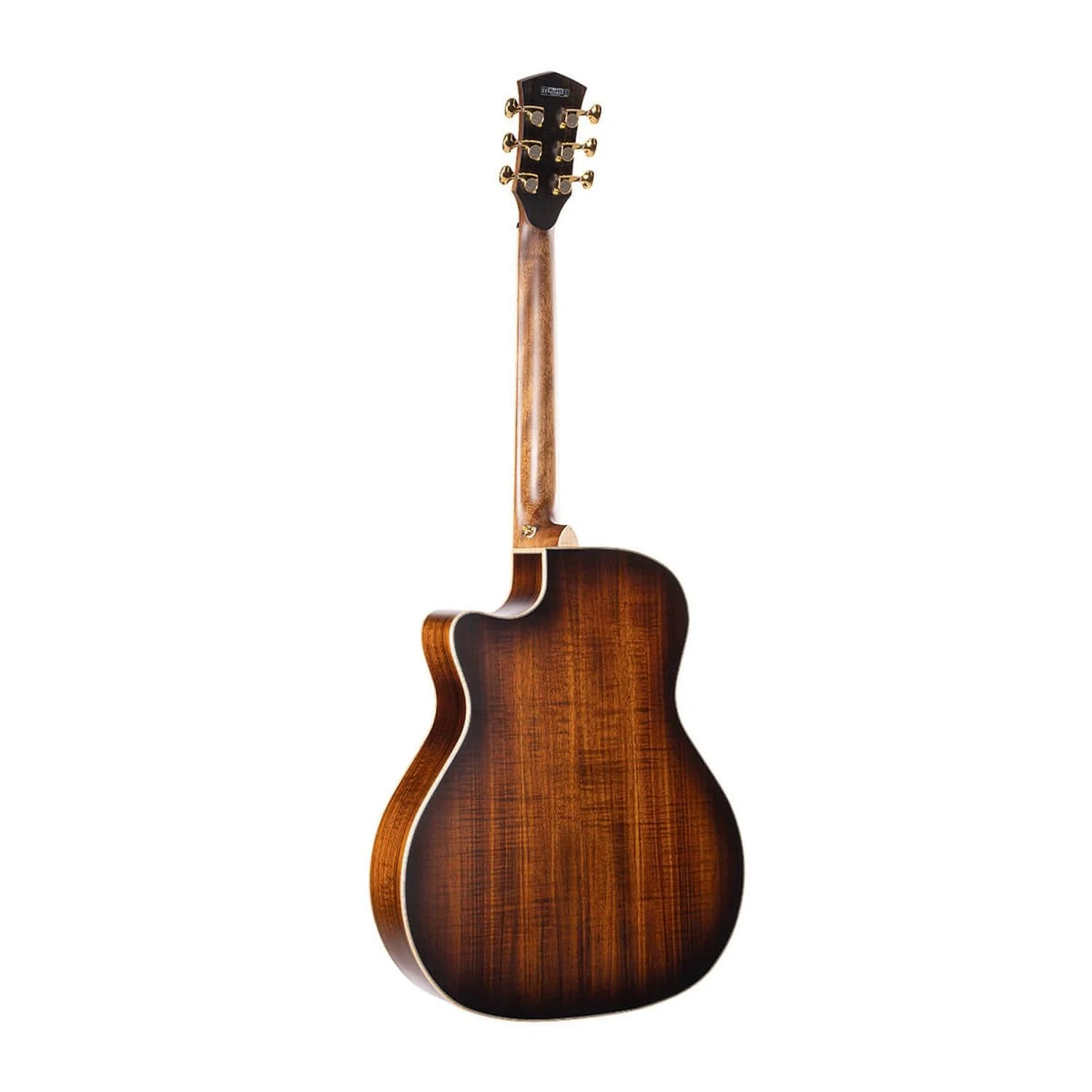 Cort The Black Tree Limited Edition Electro Acoustic Guitar - Image 9