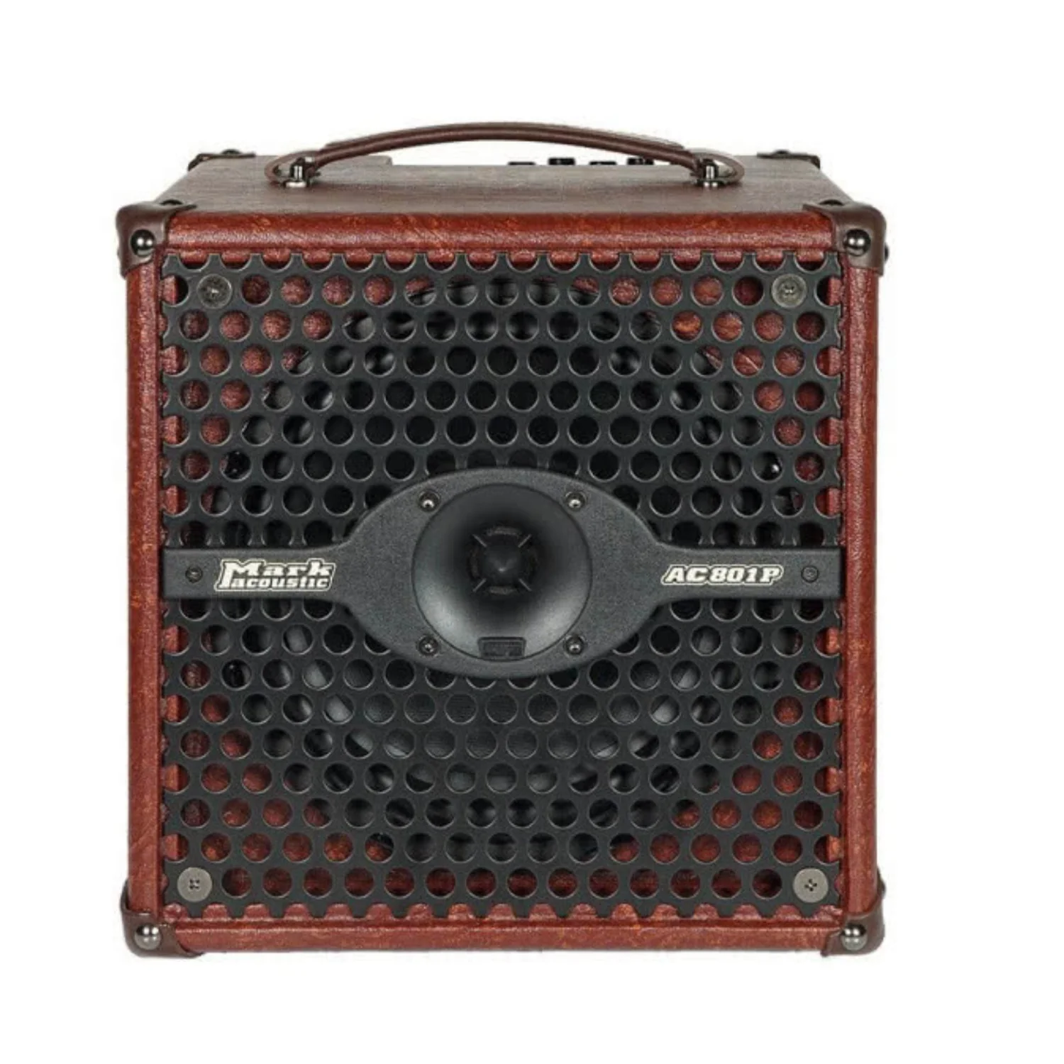 DV Mark 801P Acoustic Guitar Amplifier