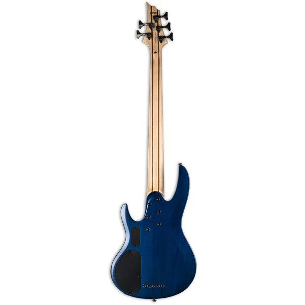 ESP LTD B-205FM 5-String Bass Guitar - See Thru Blue - Image 2
