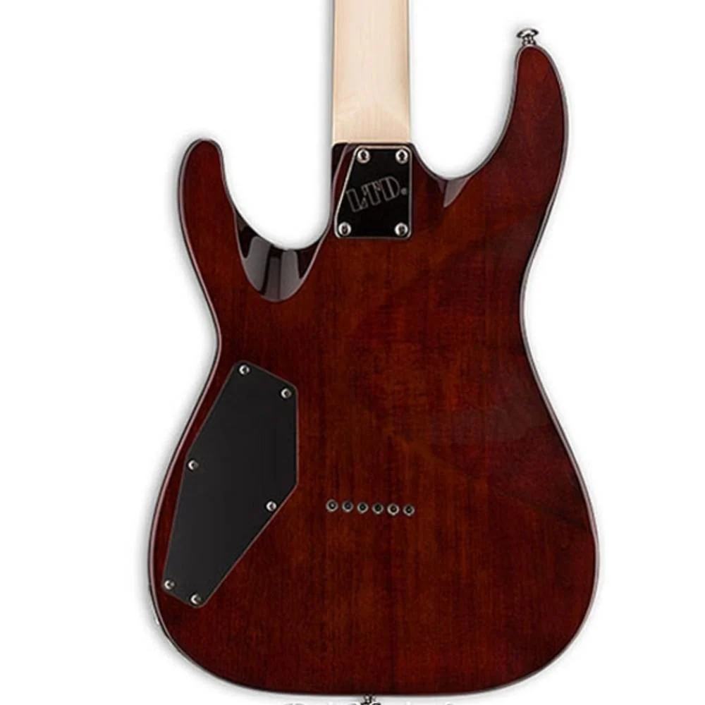 ESP LTD H-101FM Electric Guitar - Image 3