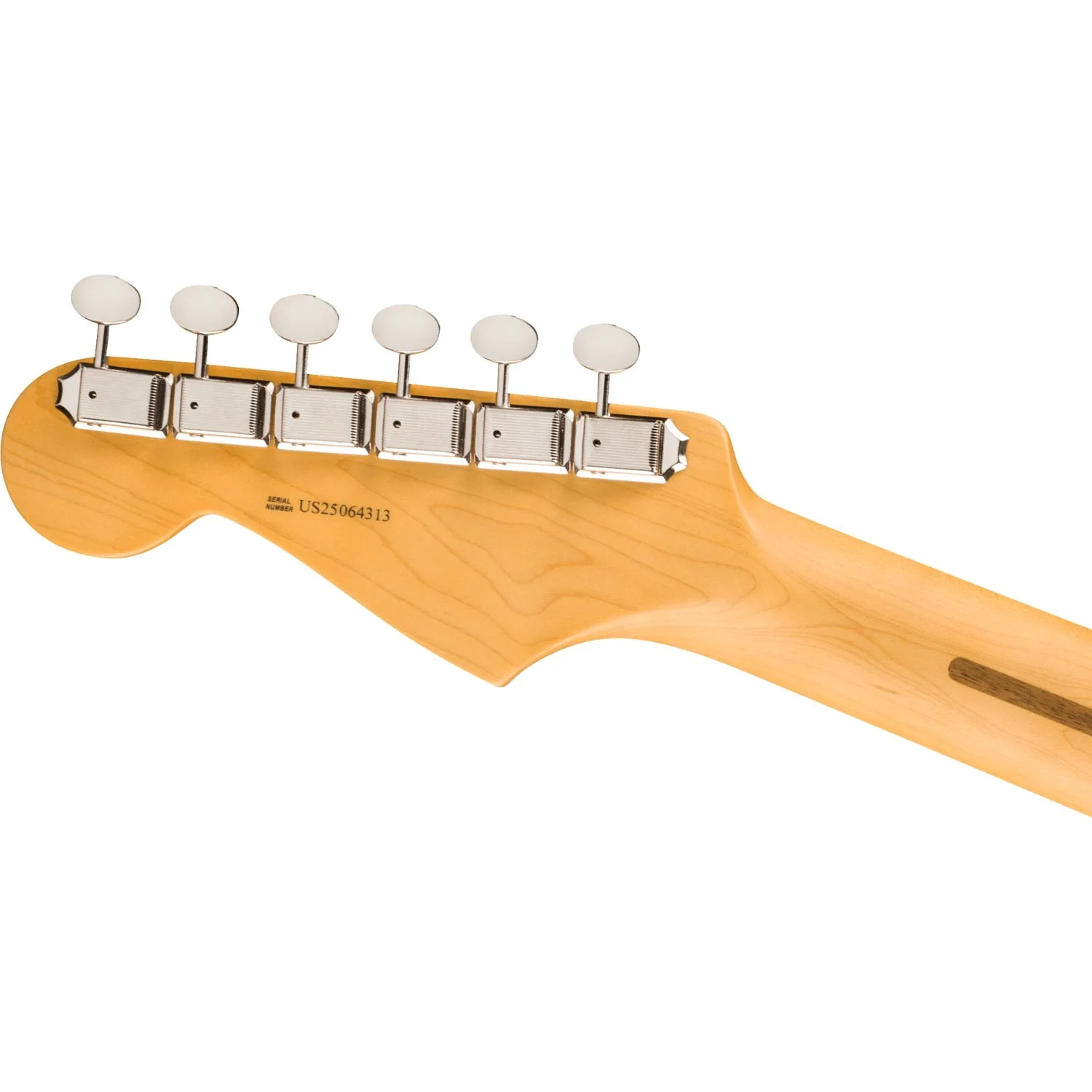 Fender American Professional Classic Stratocaster 6 String Electric Guitar - Image 5