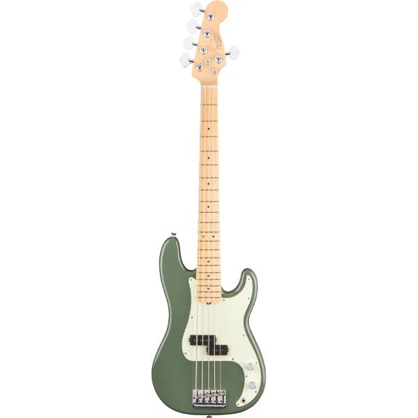 Fender American Professional Precision Bass V Maple Fingerboard Bass Guitar