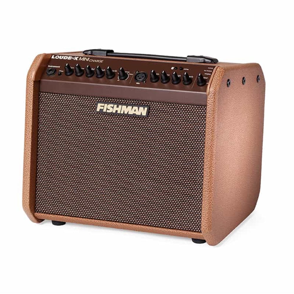 Fishman LoudBox Mini Charge PRO LBC 500 60 Watt Acoustic Guitar Amplifier with Bluetooth - Image 3