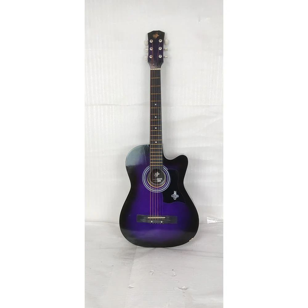 GC 38C Acoustic Guitar with Truss Rod - Open Box B Stock