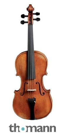 Gewa Aspirante Violin Dresden 4/4 - Image 2