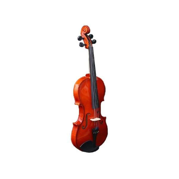 Granada GVA-1 Student Model Violin - Image 2