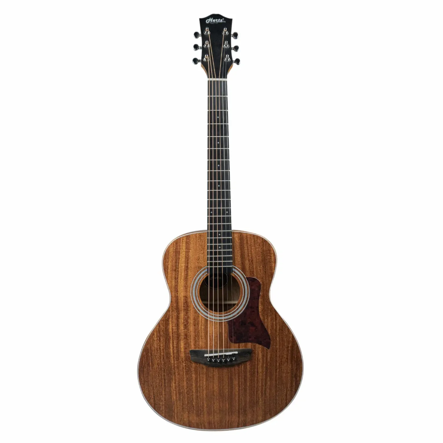 Hertz HZA-3600 6 String Acoustic Guitar - Image 3