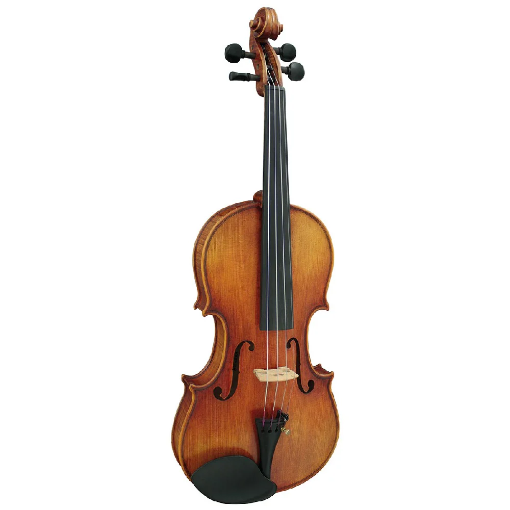 Hidersine WV100SRA 4/4 Venezia Outfit Violin - Image 2