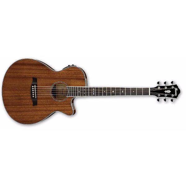 Ibanez AEG12II Acoustic Electric Guitar