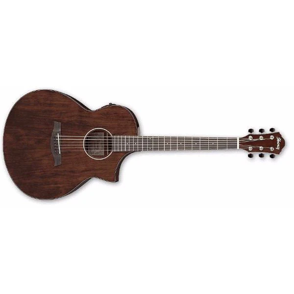 Ibanez AEW40CD Acoustic Electric Guitar (Cordia)