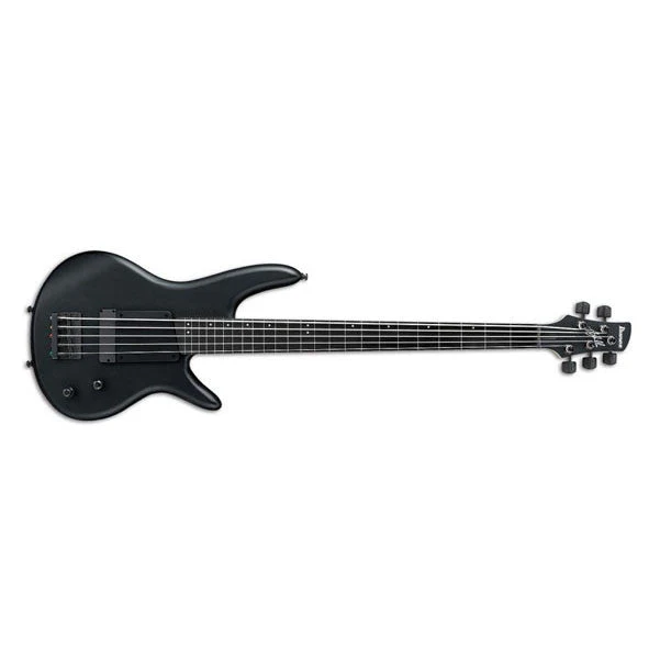Ibanez GWB35 Gary Willis Signature Fretless 5-String Bass Guitar