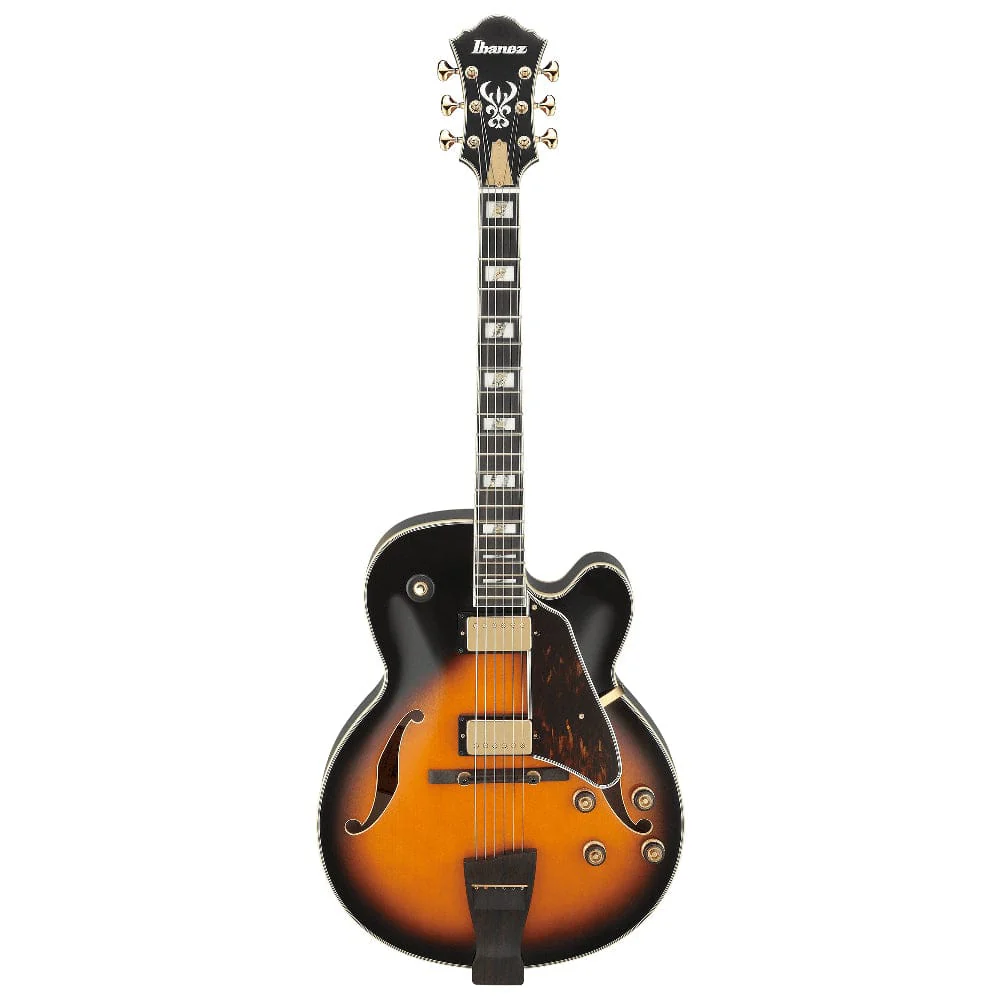 Ibanez JSM100 John Scofield Signature Hollow Body 6 String Electric Guitar - Image 5