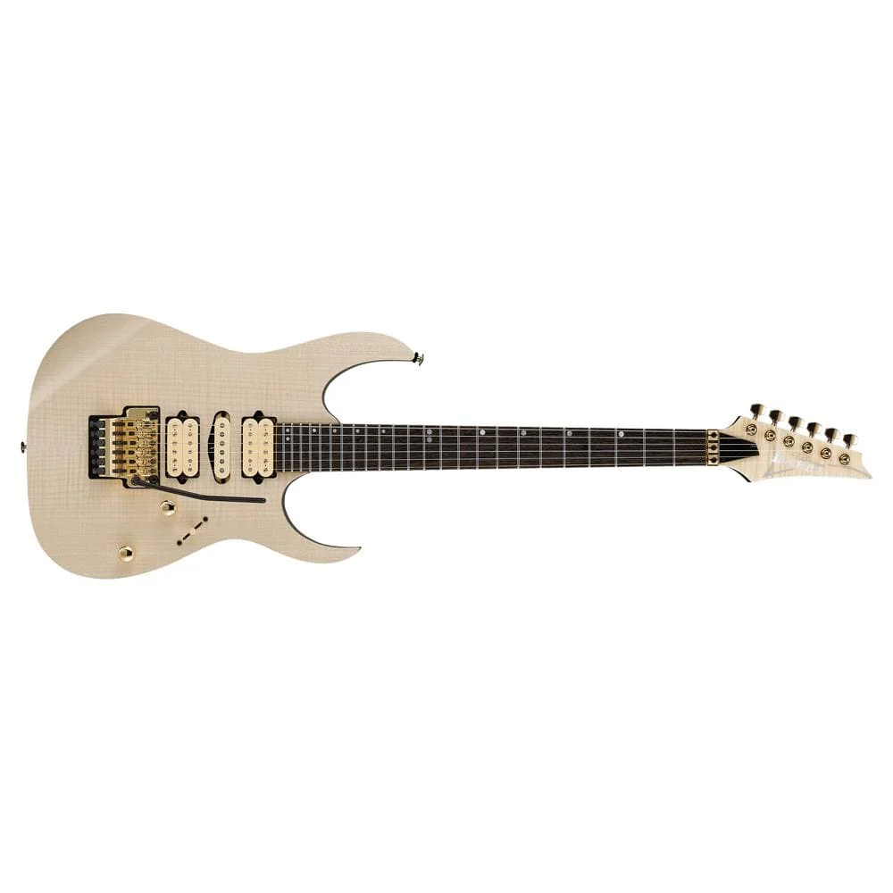 Ibanez RG1070FM Premium Electric Guitar