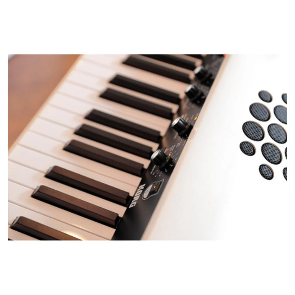 Korg SV-2 88 Key Stage Vintage Stage Piano - Black - Image 5