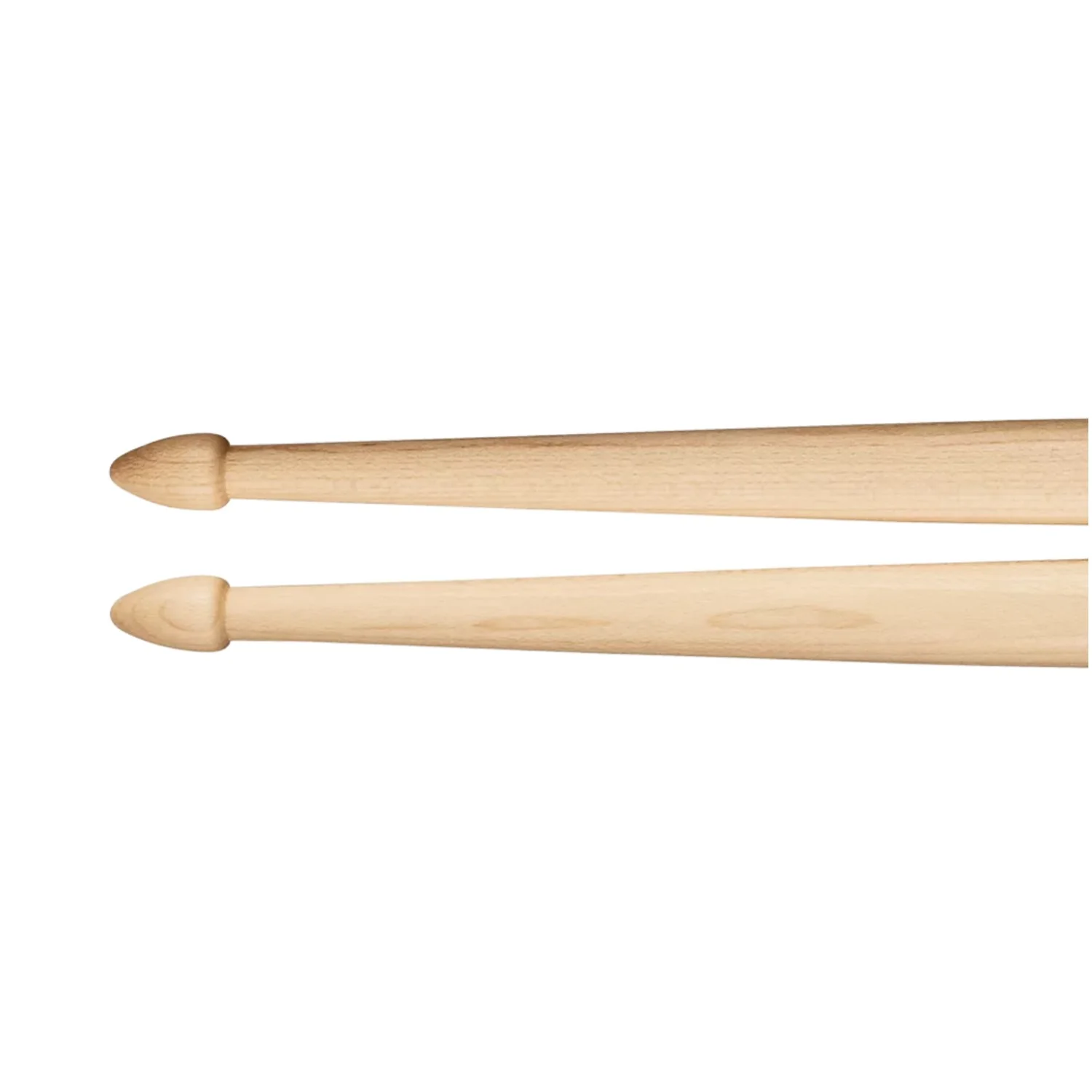 Meinl SB123 Big Apple Bop American Hickory Acorn Wood Tip Drumstick - 7A - Image 2