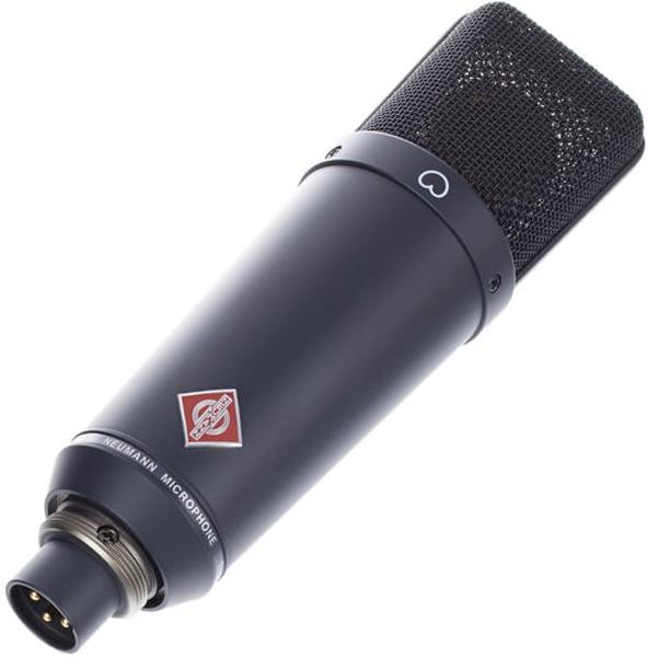 Neumann TLM 193 Large Diaphragm Condenser Microphone
