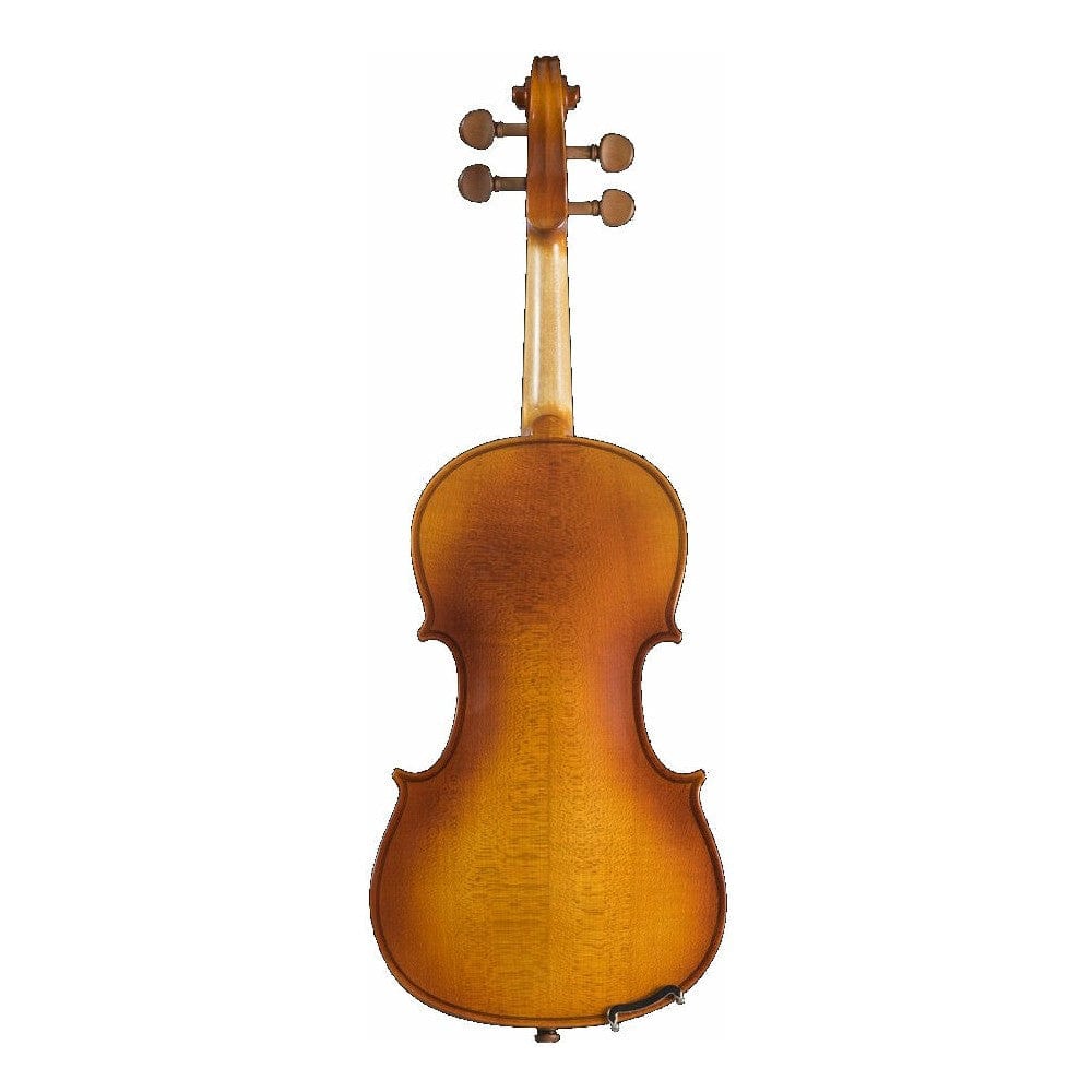 Pearl River PR V01 4/4 Outfit Violin - Image 2