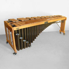 Pianoteq Xylophone Add-On: Percussive Woodwind – Professional Audio Software & Plugin - Image 5