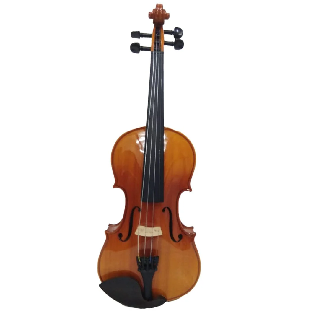 Pluto 4/4 Size Violin With Bag