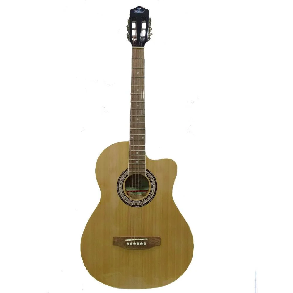 Pluto HW39C-201P Electro Acoustic Guitar