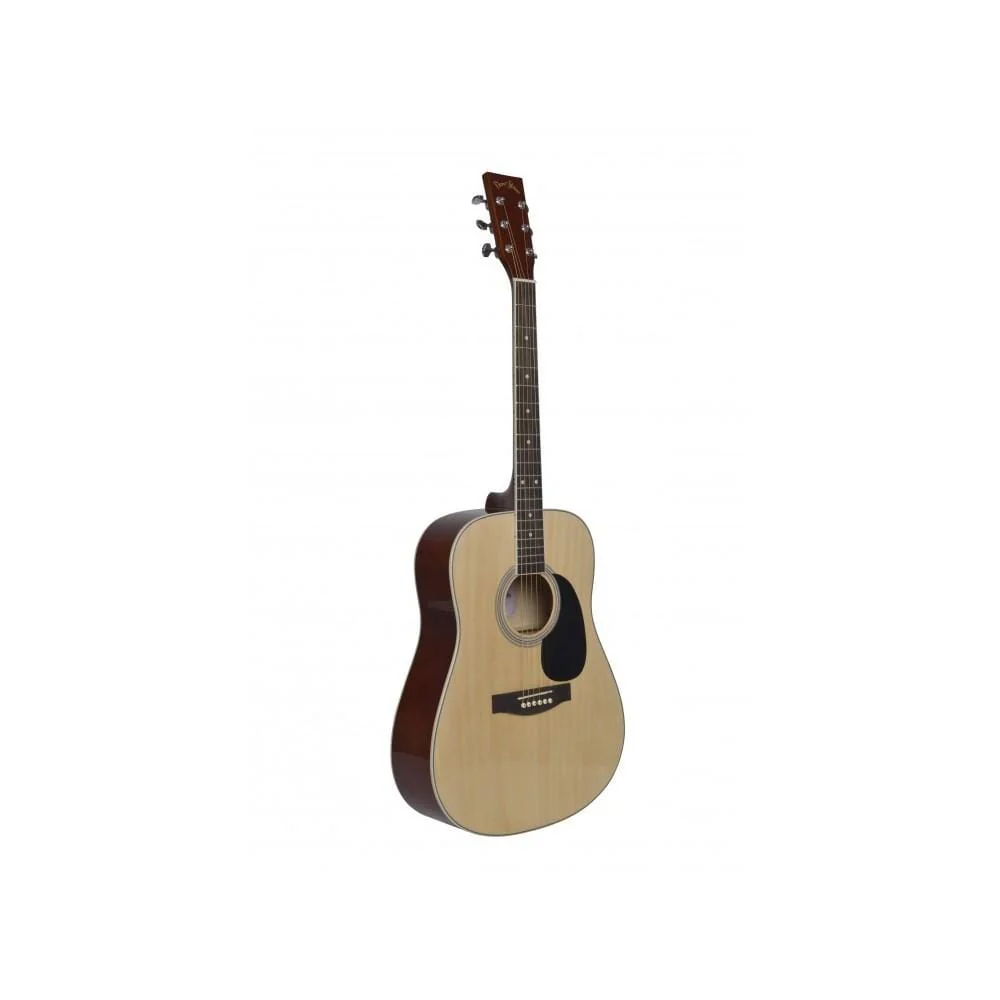 Proel Darestone DT AG1 Glossy Finish Acoustic Guitars