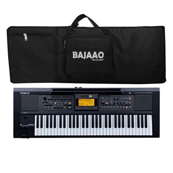 Roland E09IN Indian Edition Arranger Keyboard with Gigbag