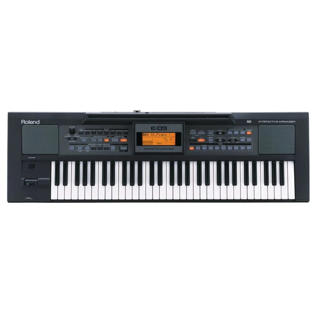 Roland E09IN Indian Edition Arranger Keyboard With Dust Cover, Stand, Pedal & Polishing Cloth - Image 2