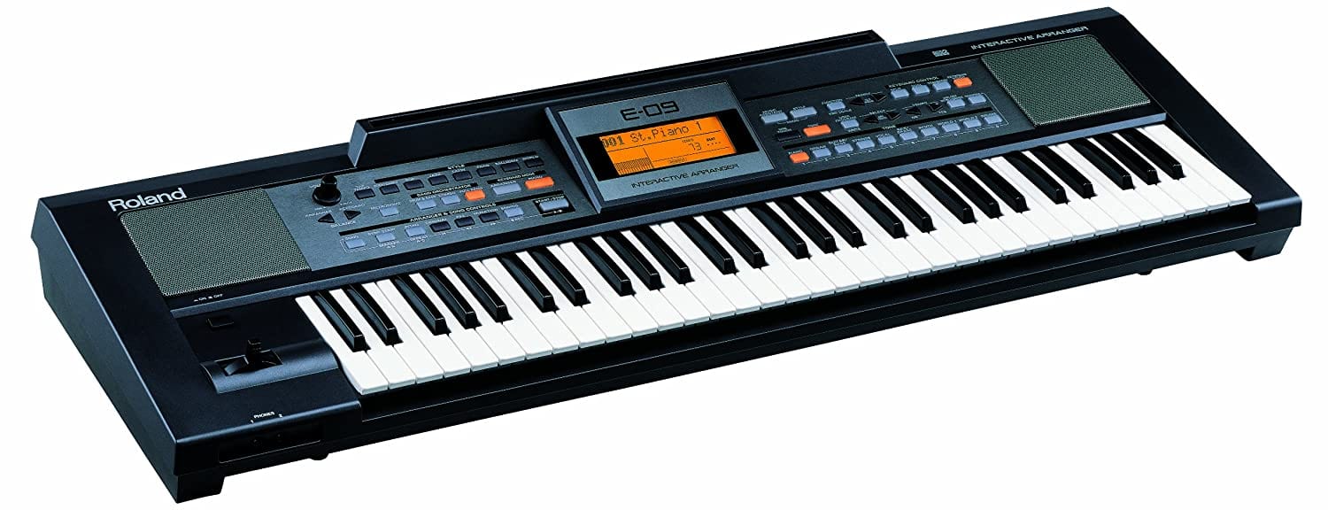 Roland E09IN Indian Edition Arranger Keyboard With Dust Cover, Stand, Pedal & Polishing Cloth - Image 3
