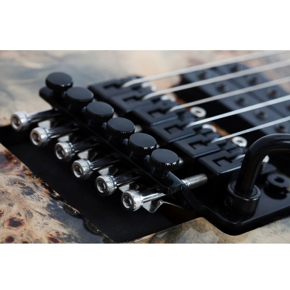 Schecter C-6 Pro FR 6-Strings Electric Guitar - Image 8