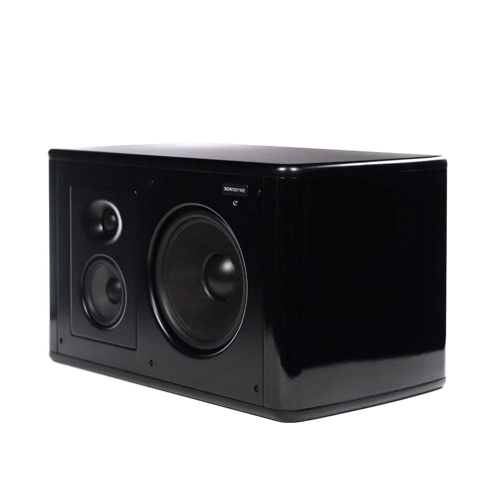 Sonodyne SM 300 3 way Trimaplified Monitor Speaker - Image 3