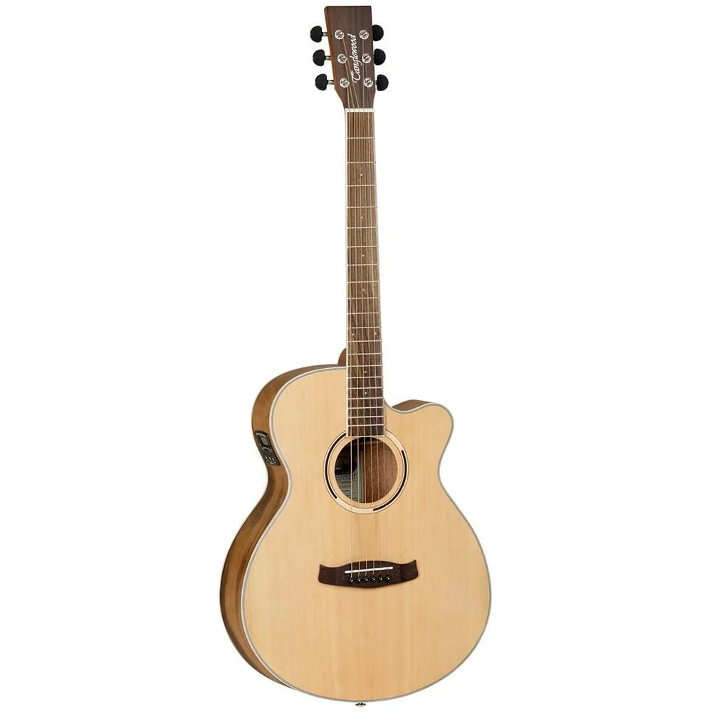 Tanglewood DBTSFCEPW 6-Strings Discovery Exotic Pacific Walnut Electro Acoustic Guitar