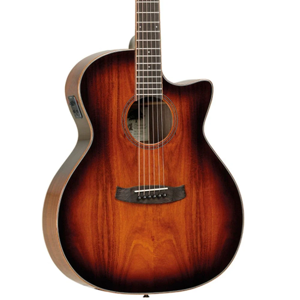 Tanglewood TW4EVC Winterleaf  Venetian Cut Electro Acoustic Guitar - Image 3