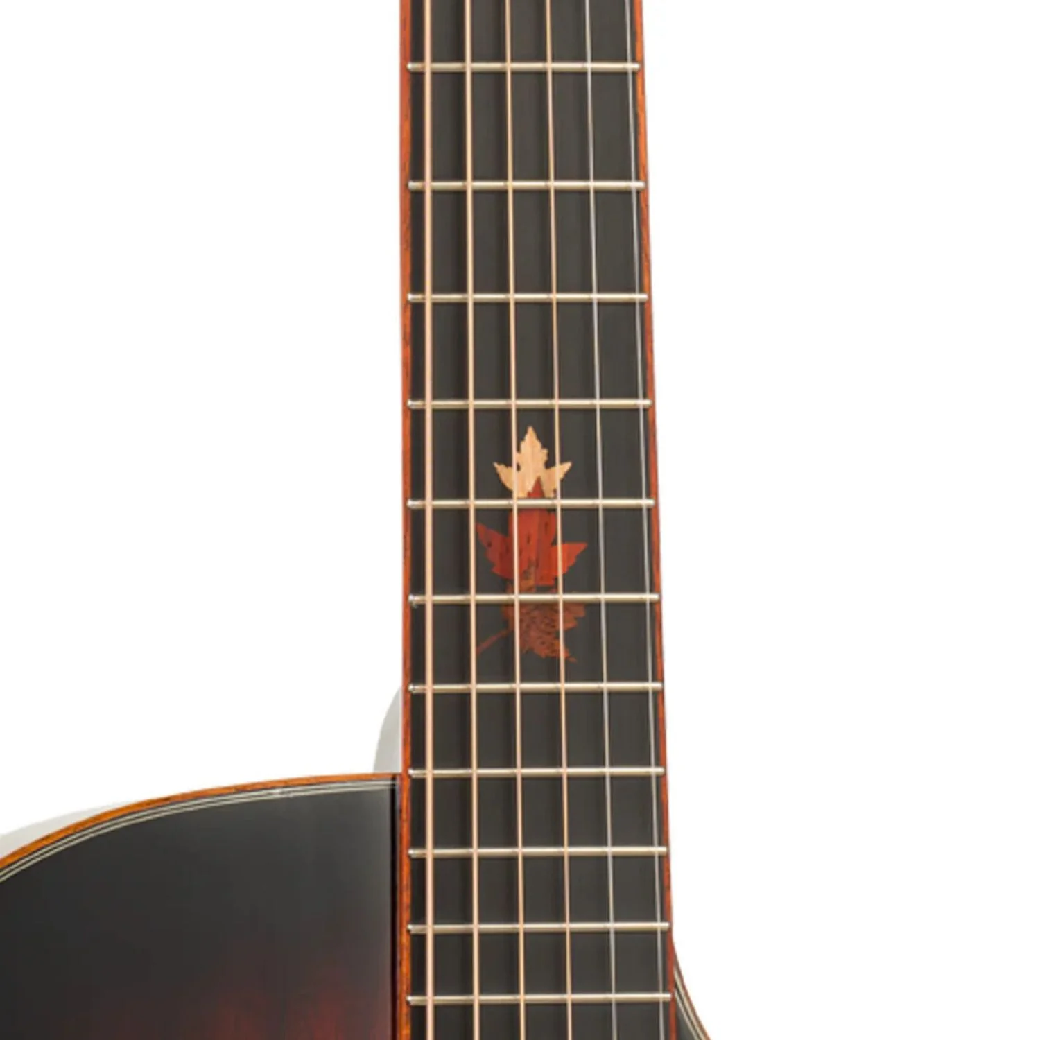 Tanglewood TWX6CEK Winterleaf Venetian Cutaway Electro Acoustic Guitar - Image 2