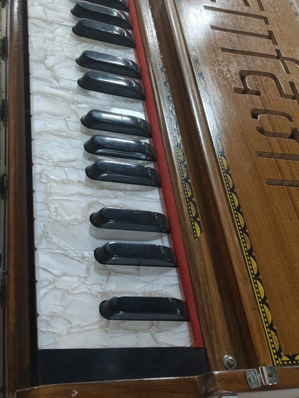 Ultimate Guru 3 Line Vertical Concert Grade Harmonium - Image 6